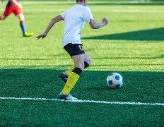 小牛遭灰狼,主力压制,伤病叠加损,新葡京,新葡京app,新葡京娱乐,新普京赌场